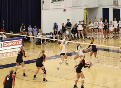 Tigers Too Tough For UC Irvine Image