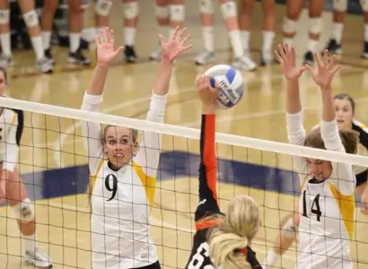 Anteaters Bested By Aggies In Three Image