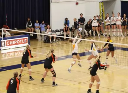 Anteaters Meet Cross-County Rival, Cal State Fullerton; Travel to UC Riverside Image