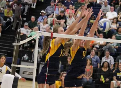 Anteaters Travel To Fresno State, Long Beach State Image