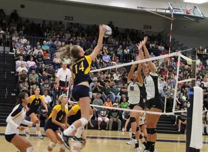 UC Irvine Comes Close But Falls In Five to UC Santa Barbara Image