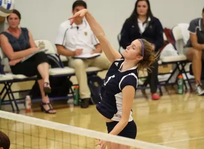 Anteaters Unable To Handle Long Beach State Image