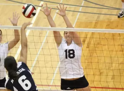 UC Irvine Falls To Cal State Northridge, 3-1 Image