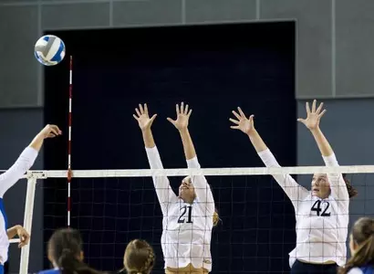 UC Irvine Takes On No. 6 Hawai'i In Week's Lone Match Image