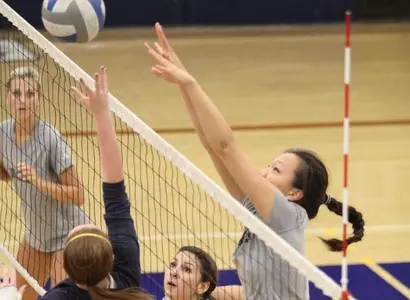 Career High For Lee As UC Irvine Cruises Past IPFW Image