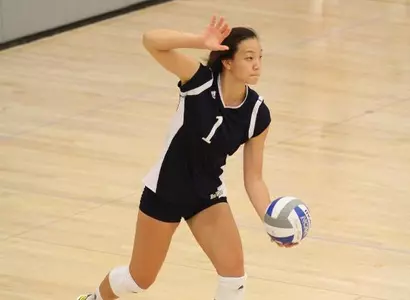 No. 24 Hawaii Too Much For Anteaters Image