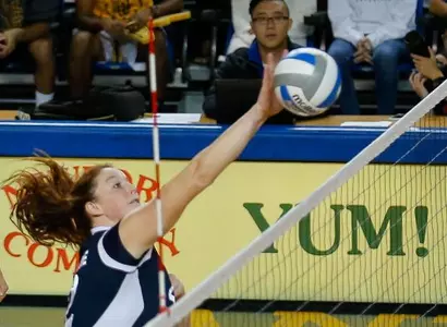 Anteaters Lose to UC Santa Barbara Image