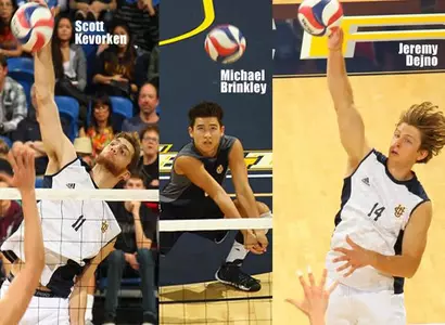 MPSF Honors Three Anteaters Image