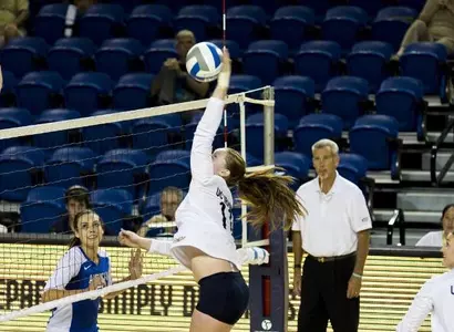 Anteaters Swiped Down By Bearcats Image