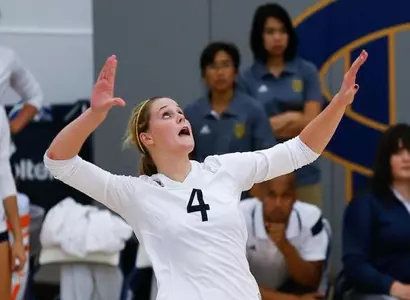 Anteaters Knock Down Falcons In Straight Sets Image