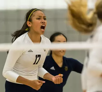 UC Irvine Travels To No. 8 Hawai'i Image