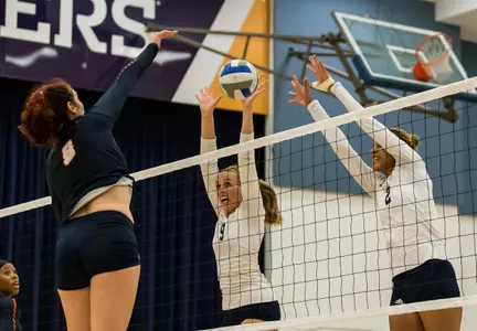 Anteaters Bested By UC Davis Image