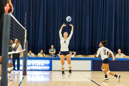 Anteaters Can't Contain Mustangs Image
