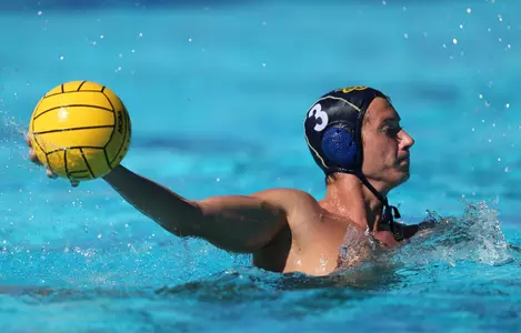 MPSF Recognition for Milos, Skinner Image