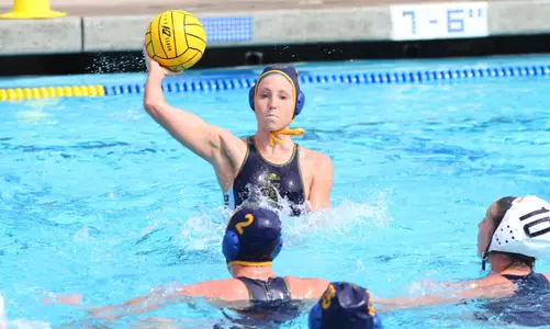 No. 5 Anteaters Defend Home Turf Against No. 14 Michigan Image