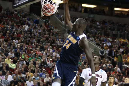 'Eaters Come Up Short Against Louisville At NCAA Tournament Image