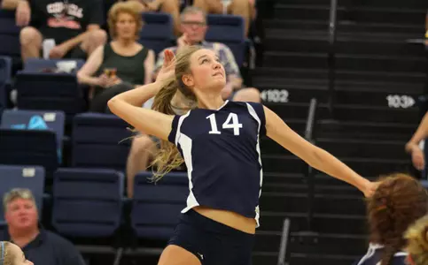 Dennis Has Career-High As Anteaters Handle LSU Image