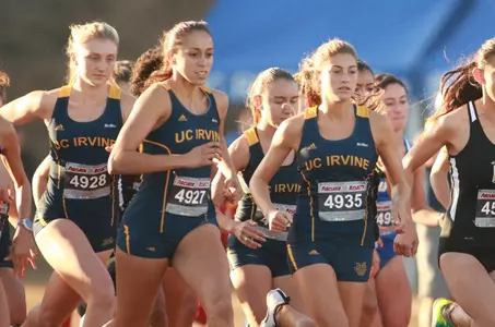 UC Irvine is Top D-I Team at Mustang Challenge Image