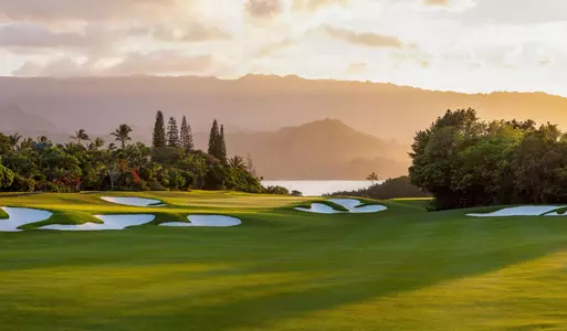 UC Irvine Finishes Fall Season at Makai Invitational Image