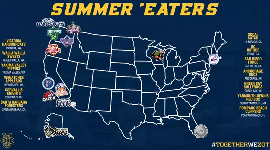 Anteaters Extend Baseball Season into Summer Leagues Image
