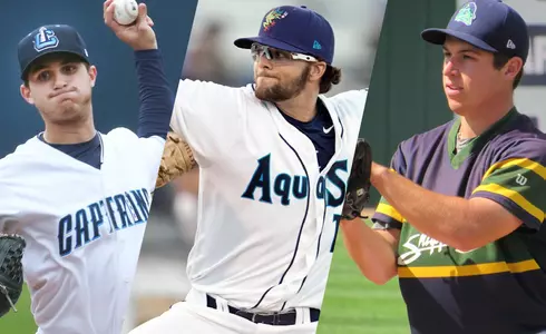 Anteaters Wrap Up 2016 Pro Seasons Image