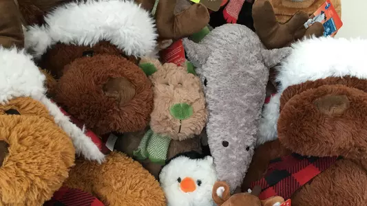 ToyTossPlush