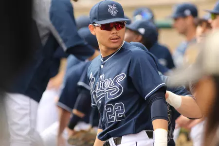 hiurad1baseballaa2017