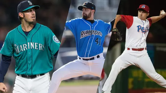 milb-2017-anteaters