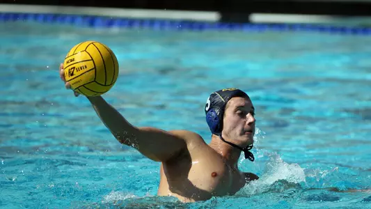 Lovre-Milos-MPolo-2017