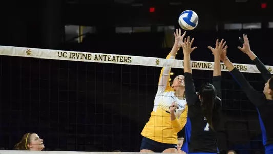 Makayla-Wolfe-WVB-2018