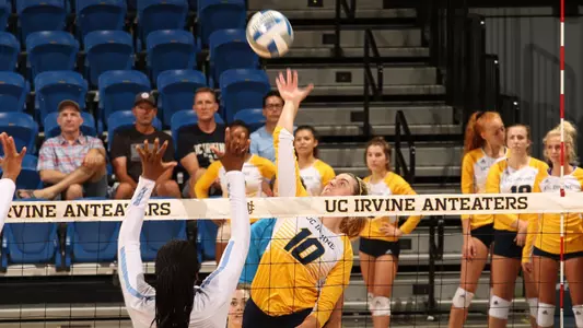 Cassie-Stewart-WVB-2019