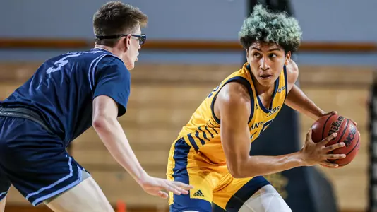 jeron-artest-feature