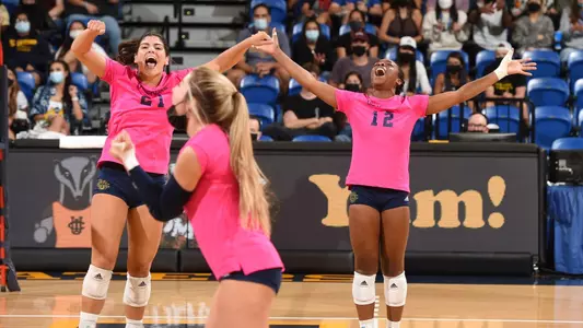Team-Celebrate-WVB-2021
