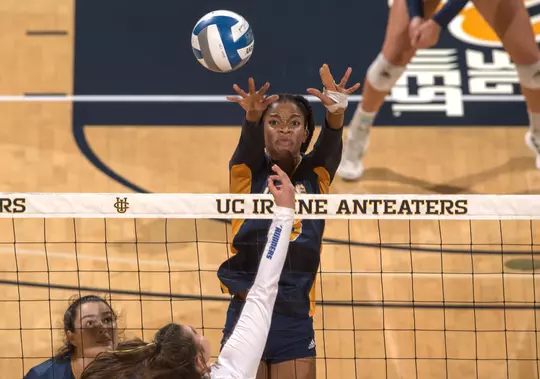 onye-ofoegbu-wvb-2021-anteater-of-the-week-story