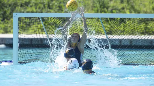 Morgan-Jones-WWP-UCSD1