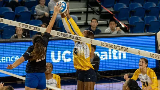 Kiani-Stanton-WVB-2019