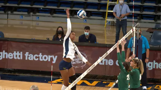 Onye-Ofoegbu-WVB-2021