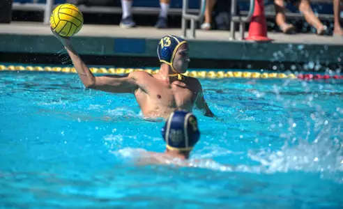 casey-lynton-mwp-2021-anteater-of-the-week