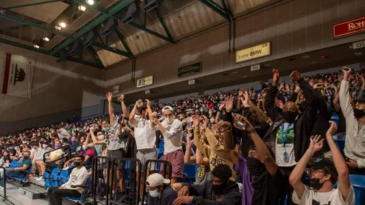 Crowd-WVB-2021