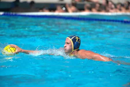 lynton-mwp-lmu-mpsf
