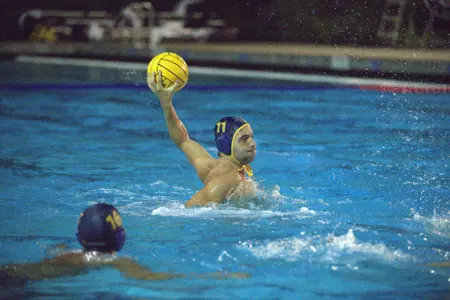 ZLATAN NIKOCEVIC,
