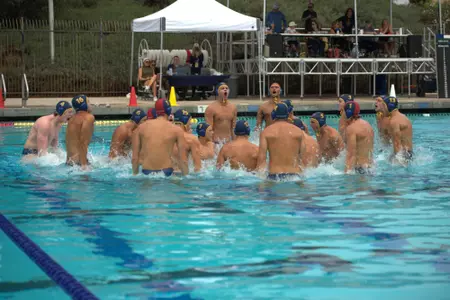 MWP team