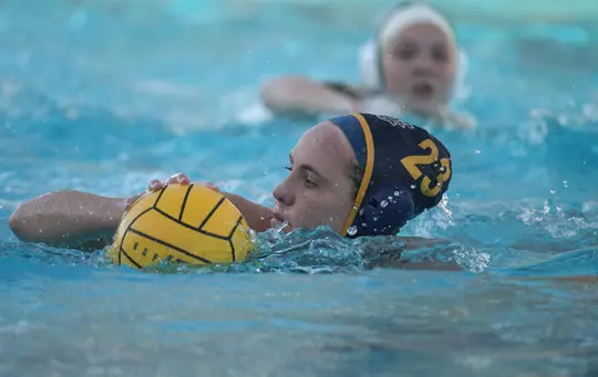 tara-prentice-2022-wwp-anteater-of-the-week