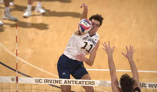 francesco-sani-mvb-2022-anteater-of-the-week