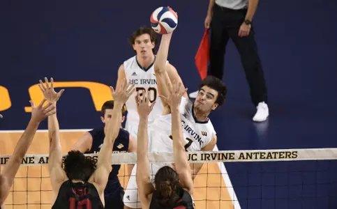 Francesco-Sani-MVB-2023