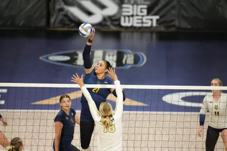 Isabella-Scarlett-WVB-23