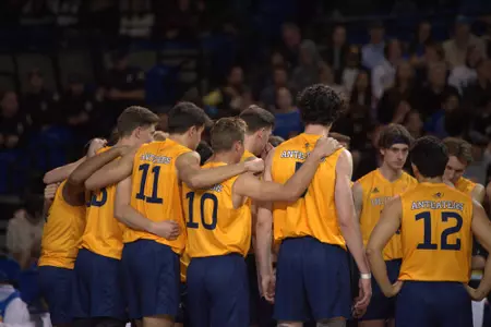 TEAM,