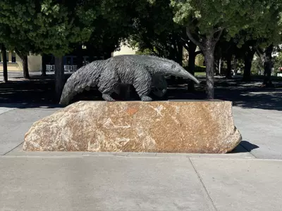 Anteater-Statue-Bren-24