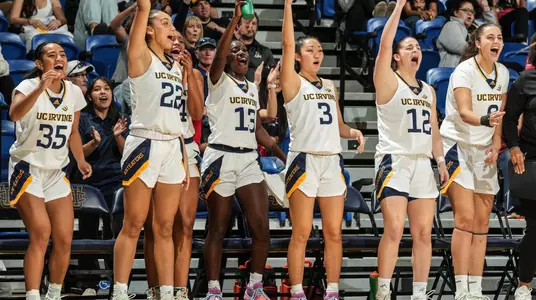 wbb-bench-2024-unm-preview