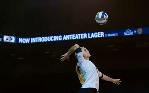 Image by Shayne Gray